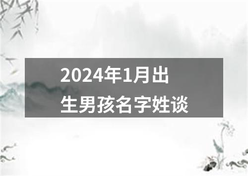 2024年1月出生男孩名字姓谈