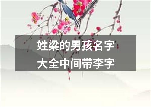 姓梁的男孩名字大全中间带李字