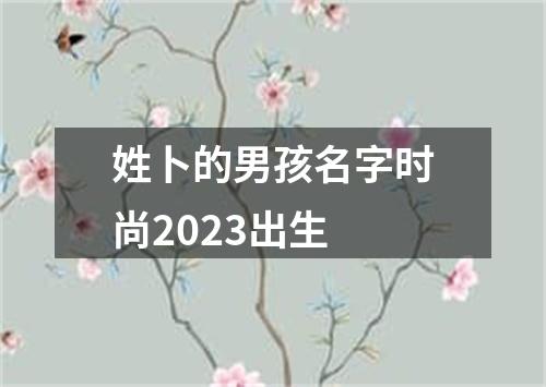 姓卜的男孩名字时尚2023出生