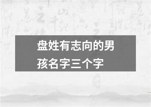 盘姓有志向的男孩名字三个字