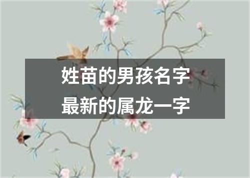 姓苗的男孩名字最新的属龙一字