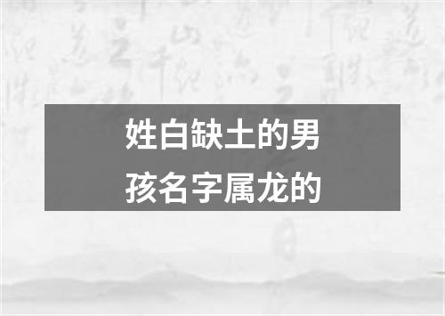 姓白缺土的男孩名字属龙的