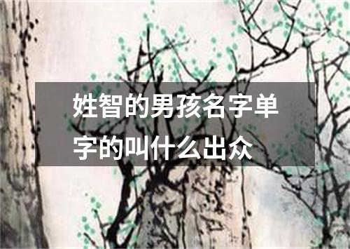 姓智的男孩名字单字的叫什么出众