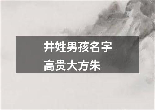 井姓男孩名字高贵大方朱