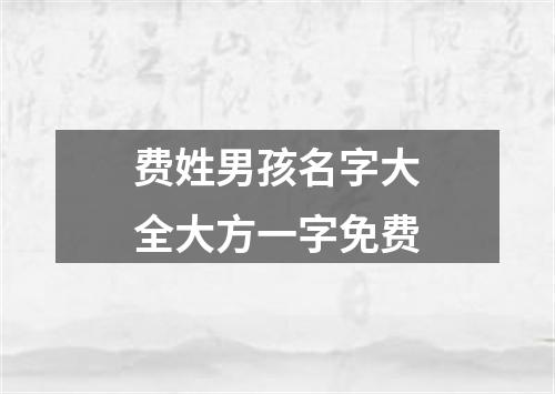 费姓男孩名字大全大方一字免费