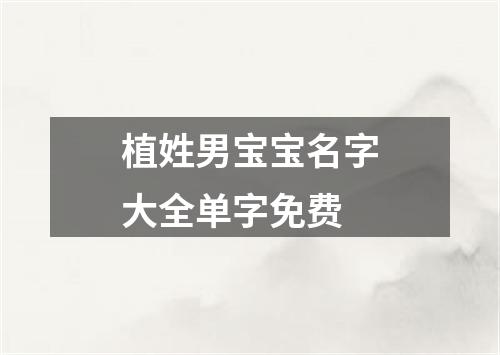 植姓男宝宝名字大全单字免费