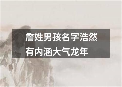 詹姓男孩名字浩然有内涵大气龙年