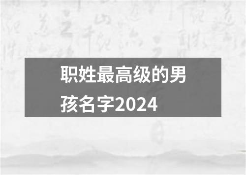 职姓最高级的男孩名字2024