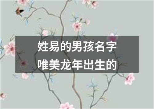 姓易的男孩名字唯美龙年出生的