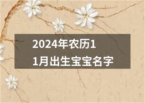 2024年农历11月出生宝宝名字