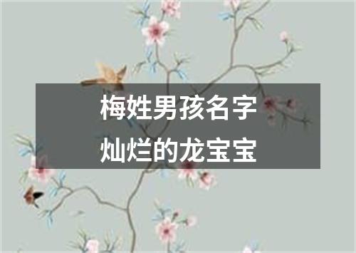 梅姓男孩名字灿烂的龙宝宝