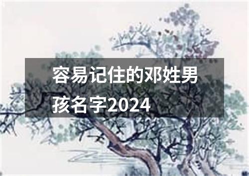 容易记住的邓姓男孩名字2024