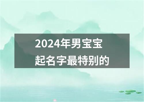 2024年男宝宝起名字最特别的