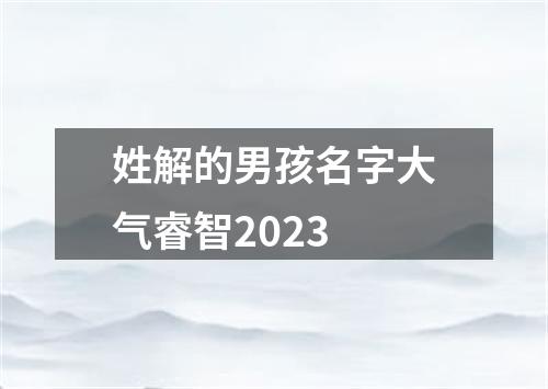 姓解的男孩名字大气睿智2023