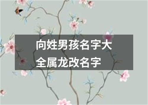 向姓男孩名字大全属龙改名字