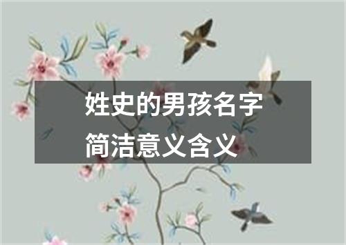 姓史的男孩名字简洁意义含义