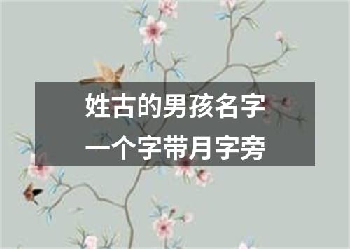 姓古的男孩名字一个字带月字旁