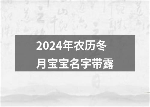 2024年农历冬月宝宝名字带露