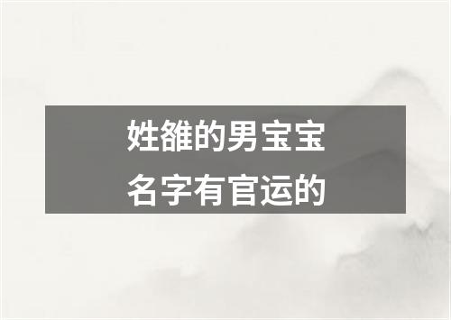 姓雒的男宝宝名字有官运的