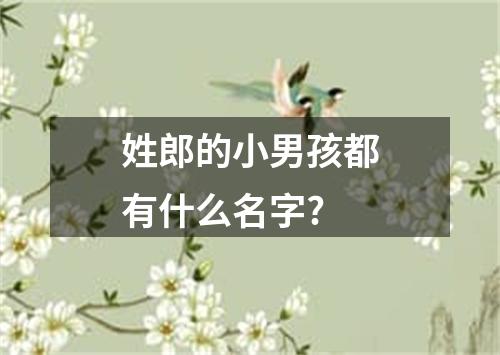 姓郎的小男孩都有什么名字?