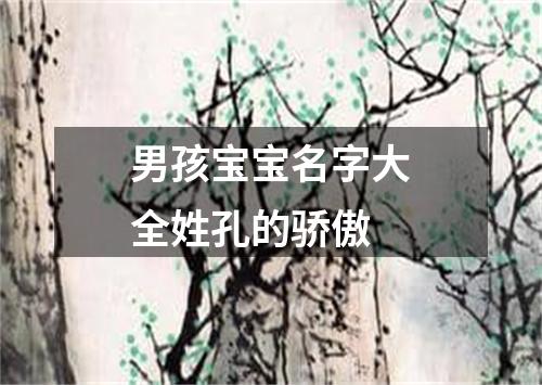 男孩宝宝名字大全姓孔的骄傲