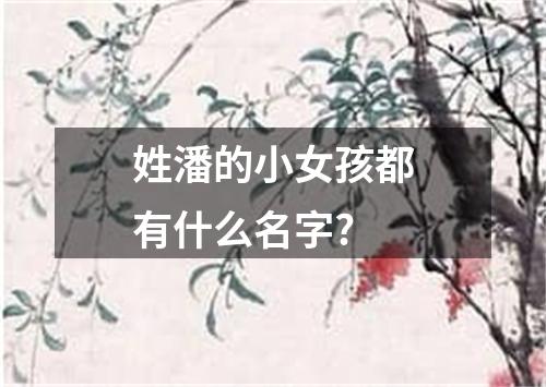 姓潘的小女孩都有什么名字?