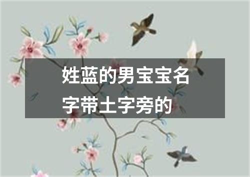 姓蓝的男宝宝名字带土字旁的