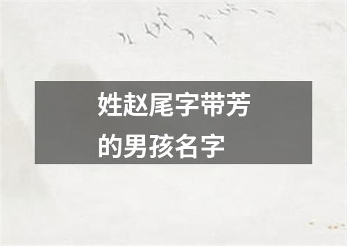 姓赵尾字带芳的男孩名字