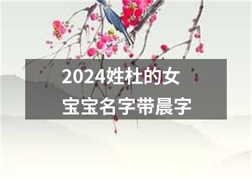 2024姓杜的女宝宝名字带晨字