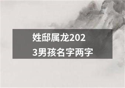 姓邸属龙2023男孩名字两字