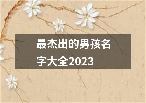 最杰出的男孩名字大全2023