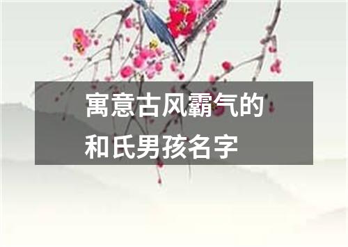 寓意古风霸气的和氏男孩名字