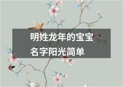 明姓龙年的宝宝名字阳光简单