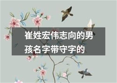 崔姓宏伟志向的男孩名字带守字的