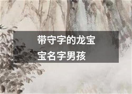 带守字的龙宝宝名字男孩