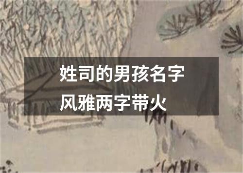 姓司的男孩名字风雅两字带火