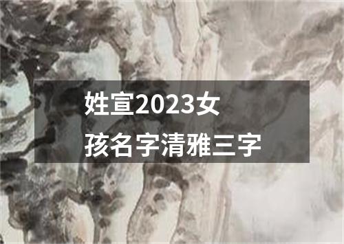 姓宣2023女孩名字清雅三字