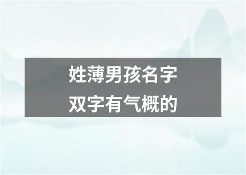 姓薄男孩名字双字有气概的