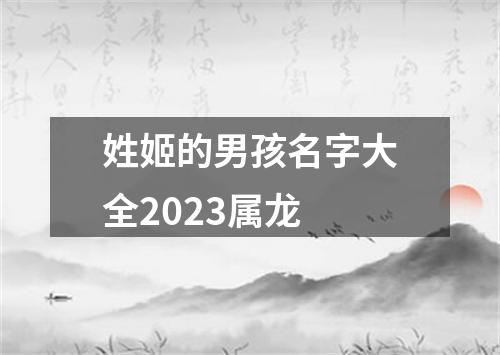 姓姬的男孩名字大全2023属龙