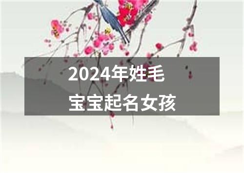 2024年姓毛宝宝起名女孩