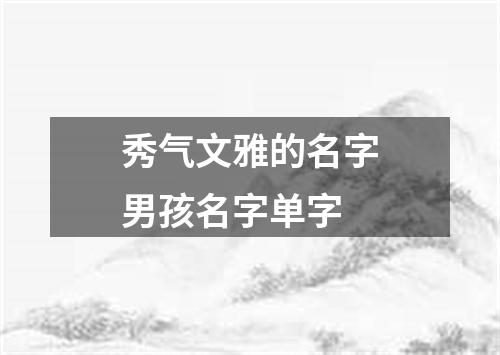 秀气文雅的名字男孩名字单字