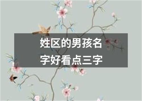 姓区的男孩名字好看点三字