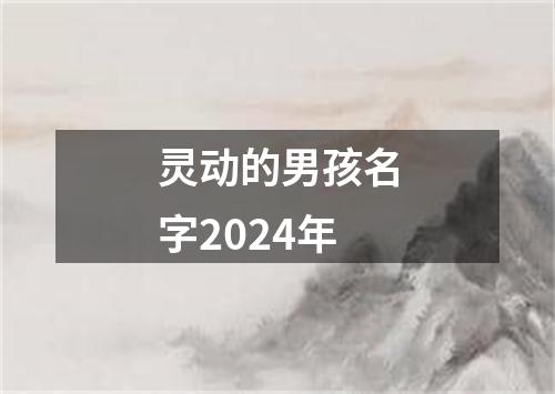 灵动的男孩名字2024年