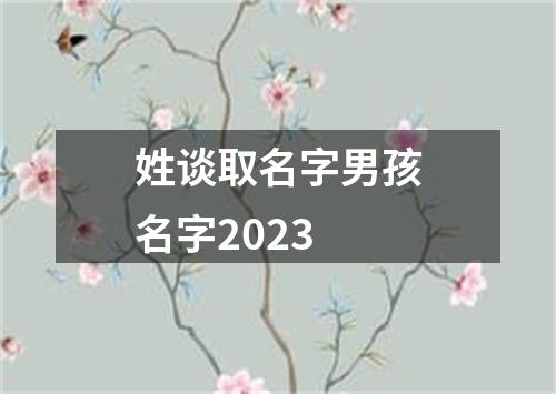 姓谈取名字男孩名字2023