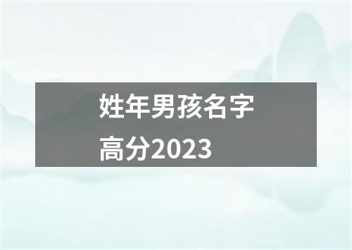 姓年男孩名字高分2023