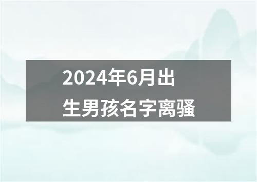 2024年6月出生男孩名字离骚