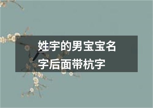 姓宇的男宝宝名字后面带杭字