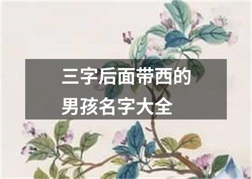 三字后面带西的男孩名字大全