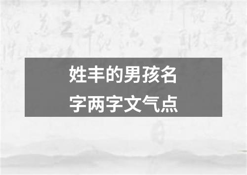 姓丰的男孩名字两字文气点