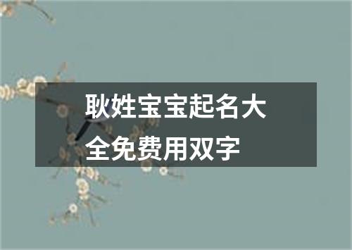 耿姓宝宝起名大全免费用双字